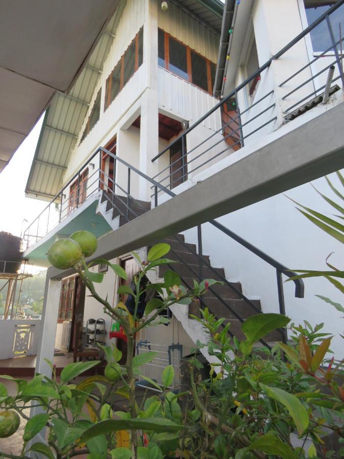 Dream Hill Homestay Нувара-Элия Экстерьер фото
